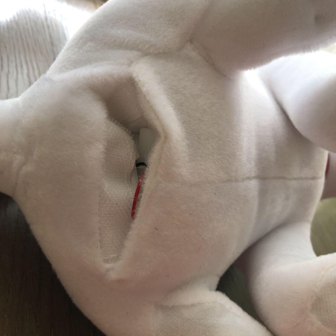 喋るお父さん犬　可愛い❗️