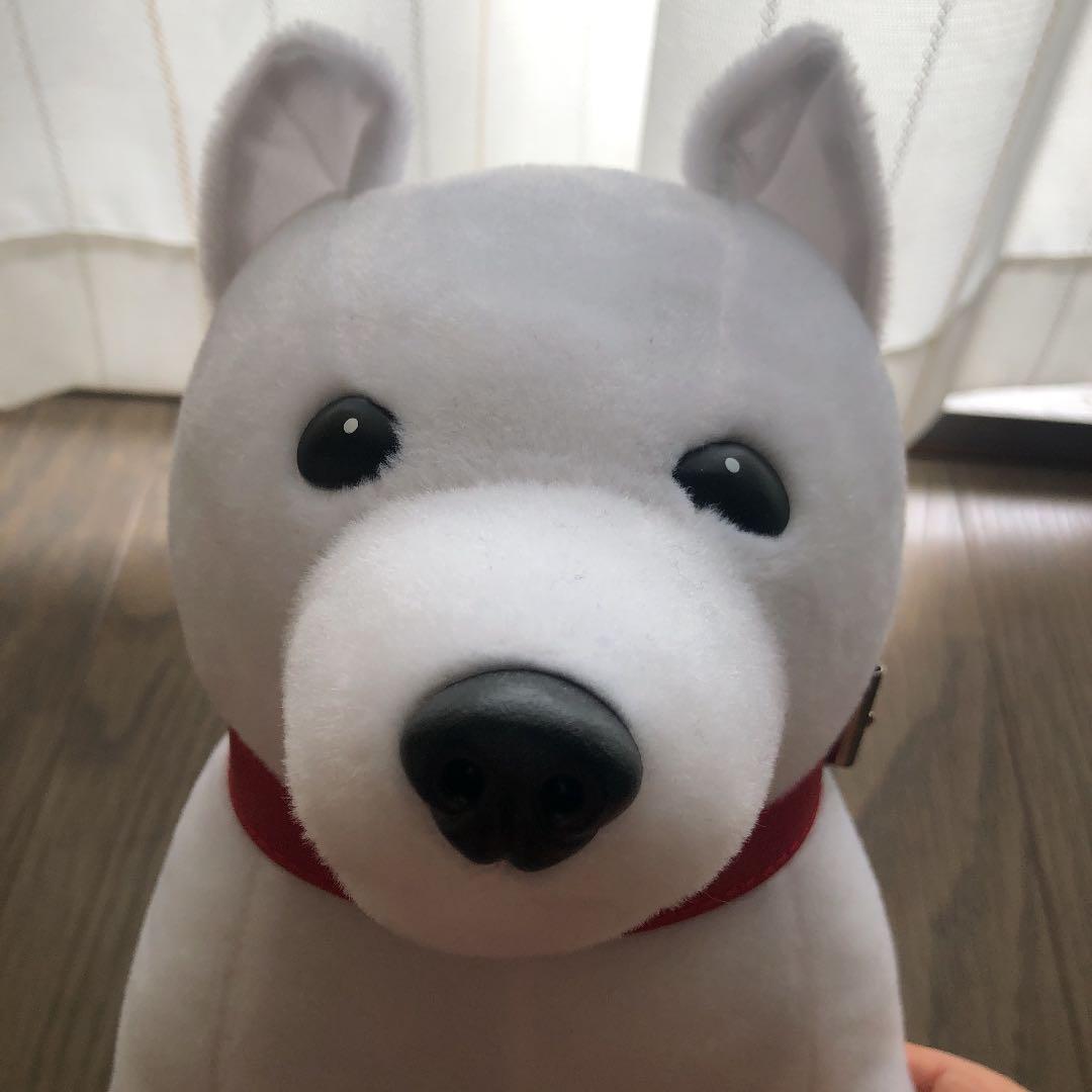 喋るお父さん犬　可愛い❗️