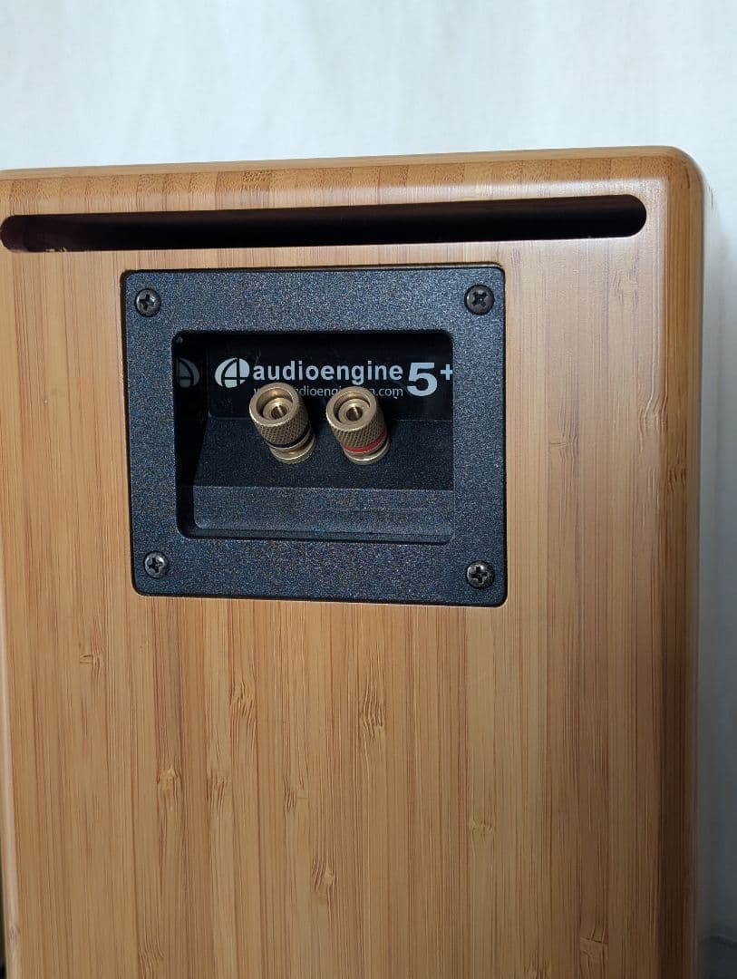 ↓値下げしました↓audioengine 5+ 並行輸入品