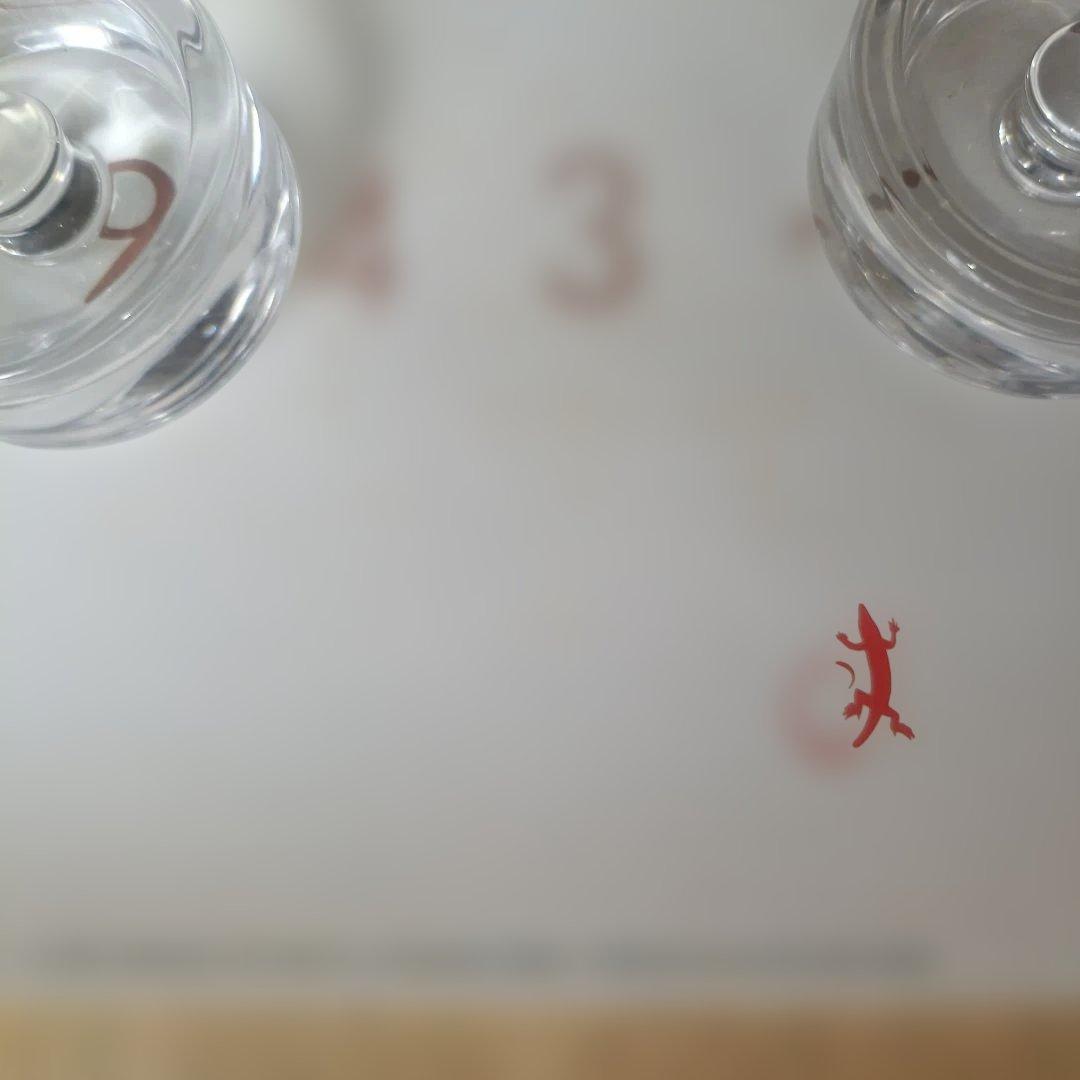 JIM MORRISON ポスター 1991 The Doors