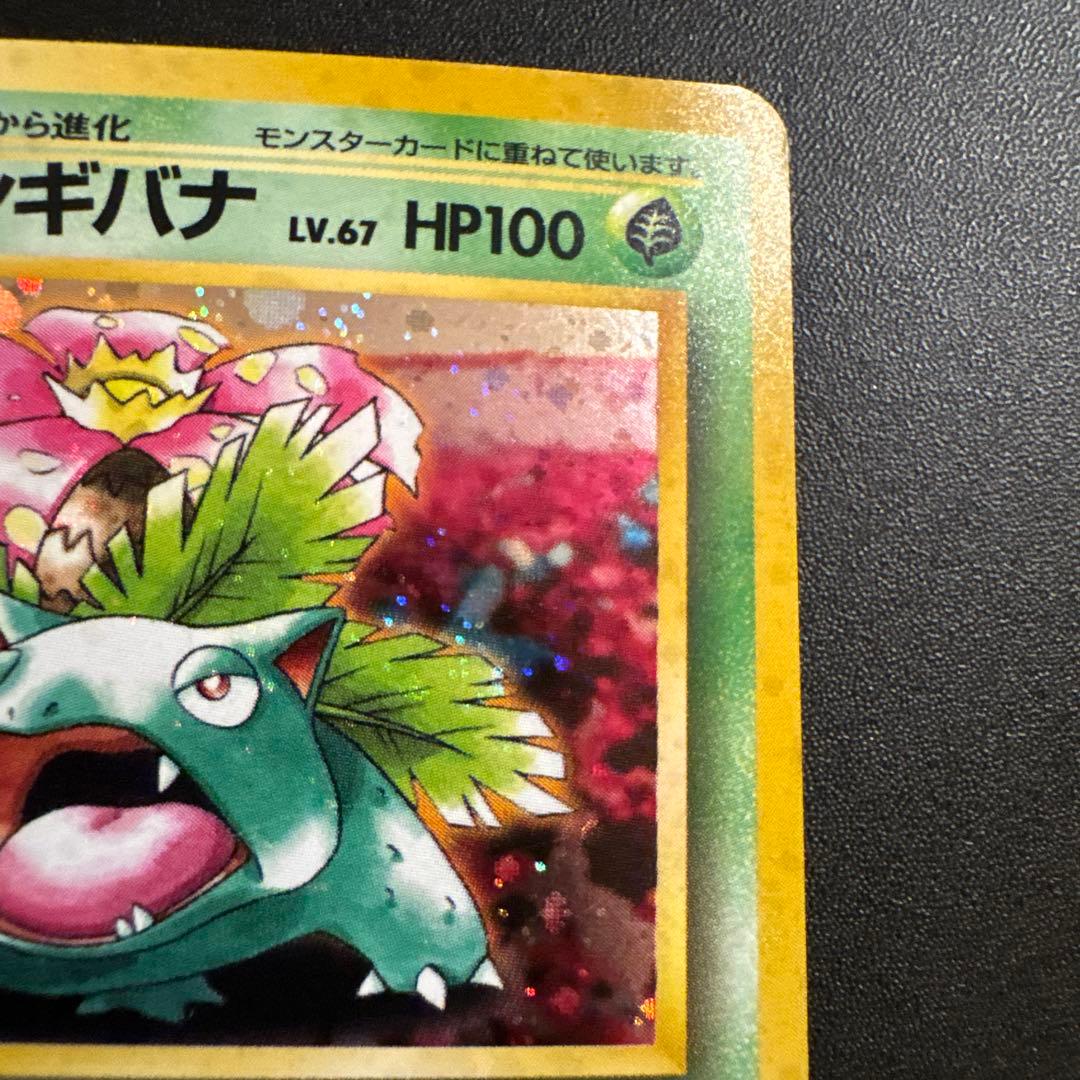 フシギバナ とりかえっこプリーズ キャンペーンカード プロモ 第1世代 旧裏