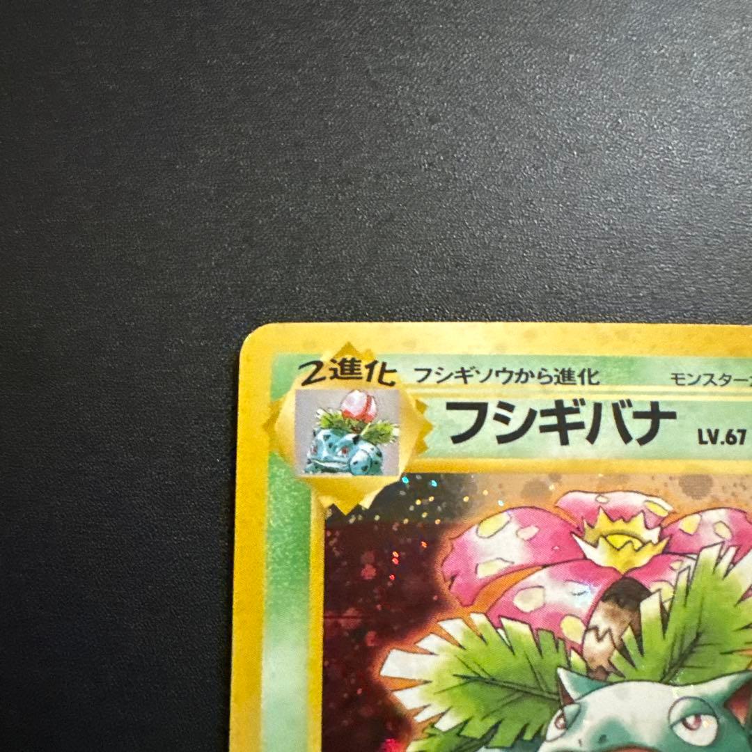 フシギバナ とりかえっこプリーズ キャンペーンカード プロモ 第1世代 旧裏