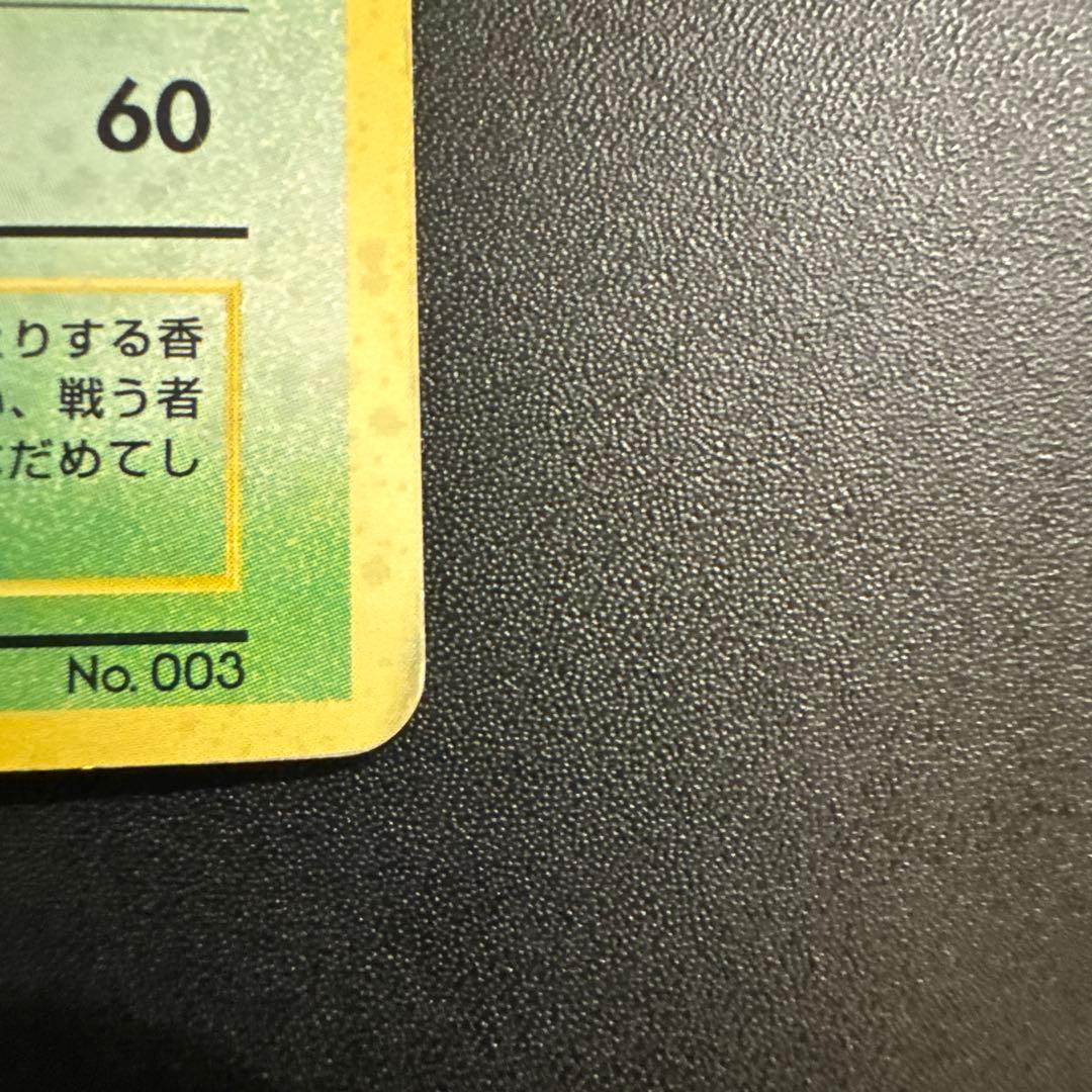 フシギバナ とりかえっこプリーズ キャンペーンカード プロモ 第1世代 旧裏