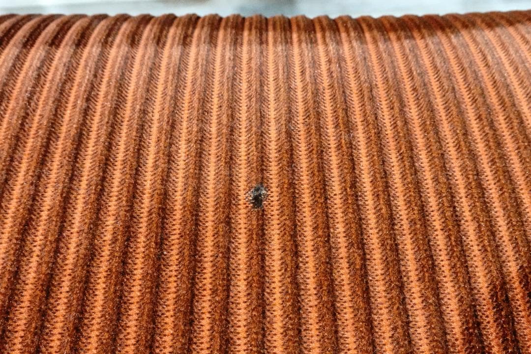 ⚫︎ NOCE ノーチェ ⚫︎ 　1人掛けチェア　ダイニングチェア