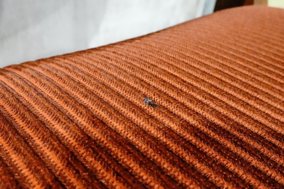 ⚫︎ NOCE ノーチェ ⚫︎ 　1人掛けチェア　ダイニングチェア