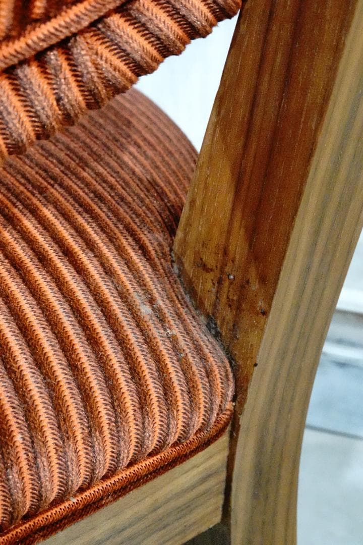 ⚫︎ NOCE ノーチェ ⚫︎ 　1人掛けチェア　ダイニングチェア