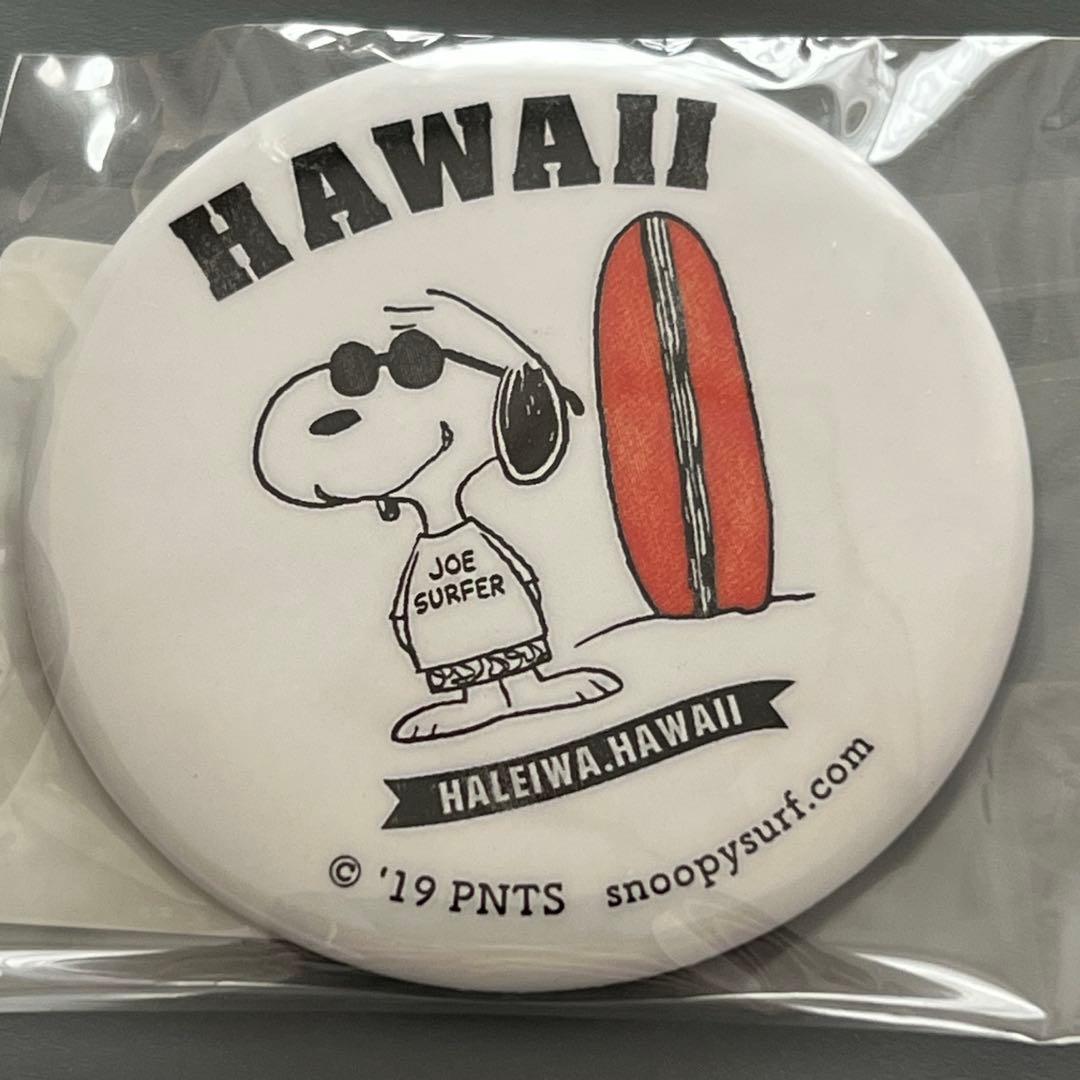 スヌーピーサーフショップ 缶バッジ 10点セット