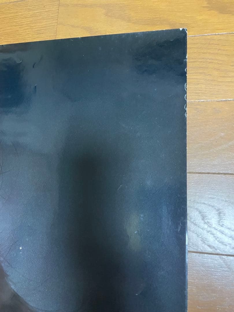 Technics薬師丸ひろ子ポスター