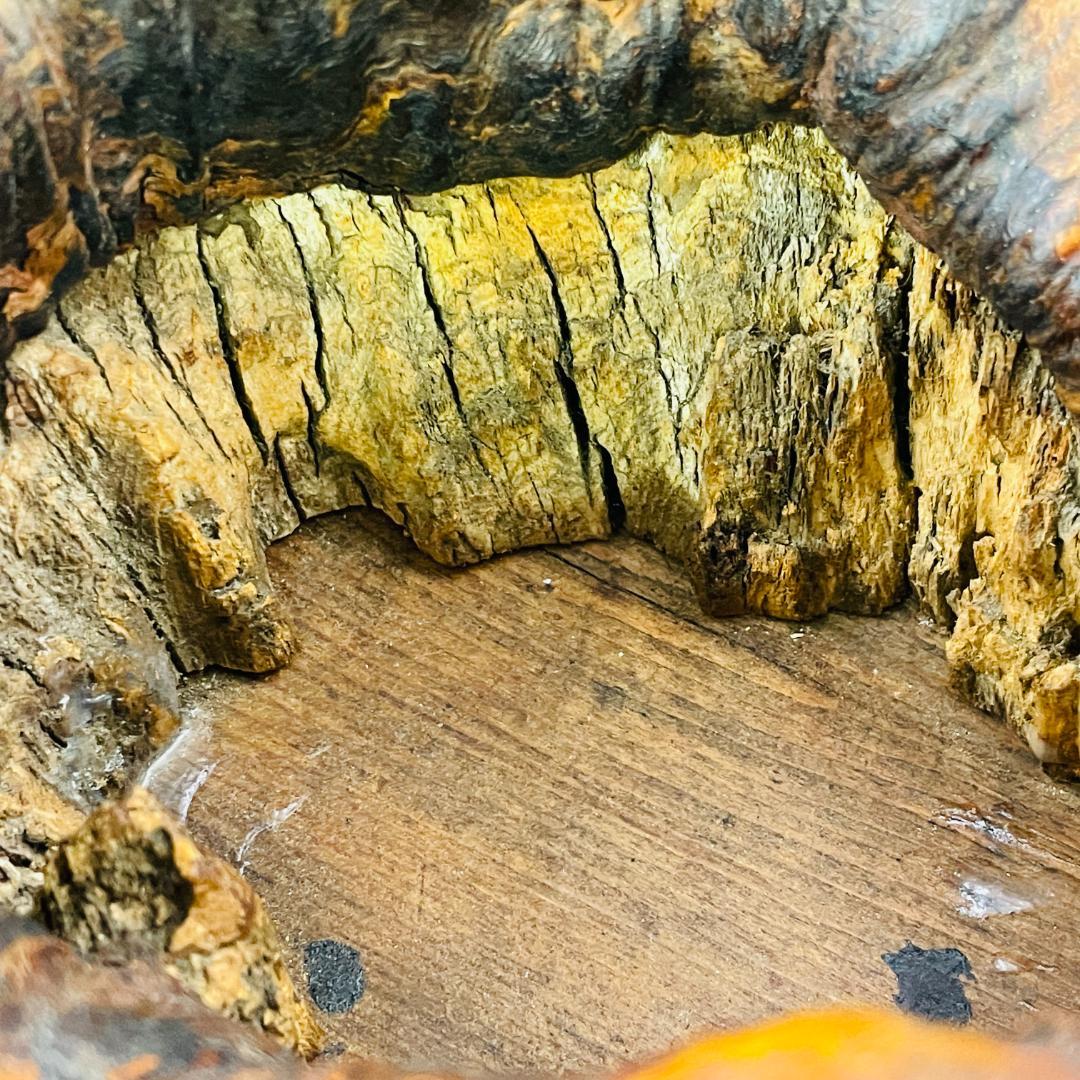 時代物 瘤木 天然木 玉杢 葡萄杢 煙草盆 一点物 約21.5cmR8SA125
