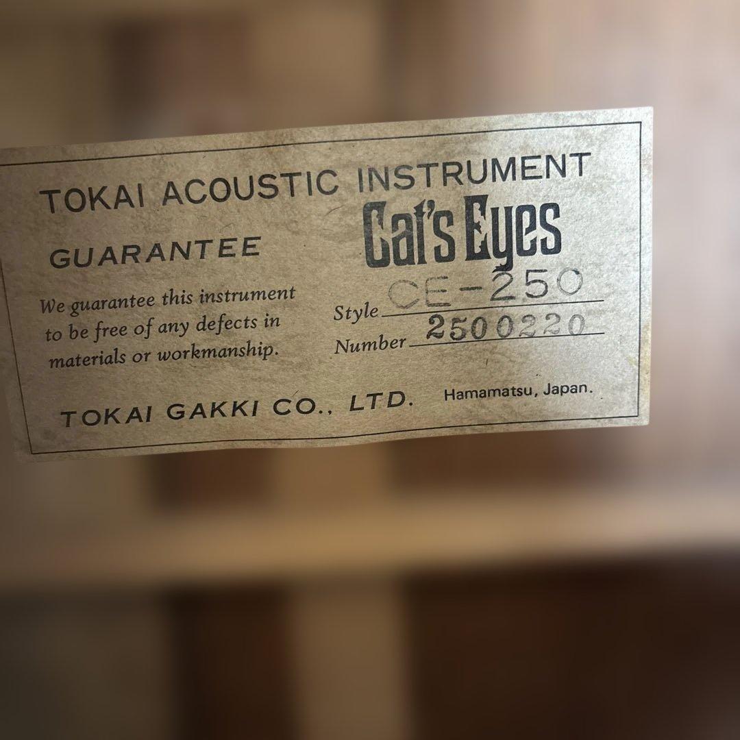 Cats Eyes キャッツアイ CE-250アコースティックギター 日本製