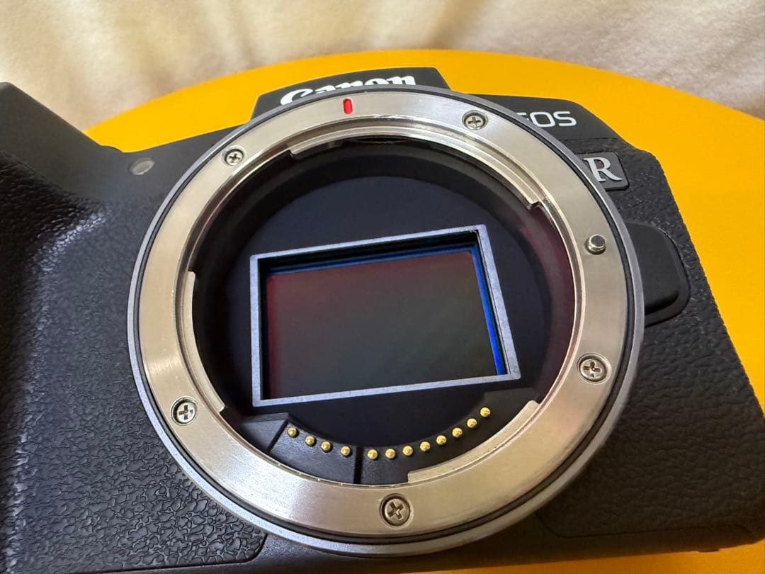 美品Canon EOS RP フルサイズミラーレス一眼