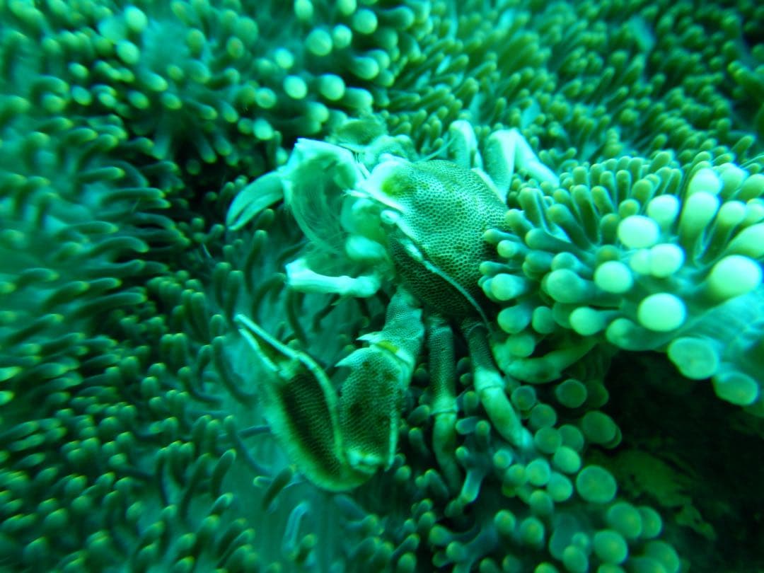 デジタルカメラ Nikon COOLPIX W300 YELLOW