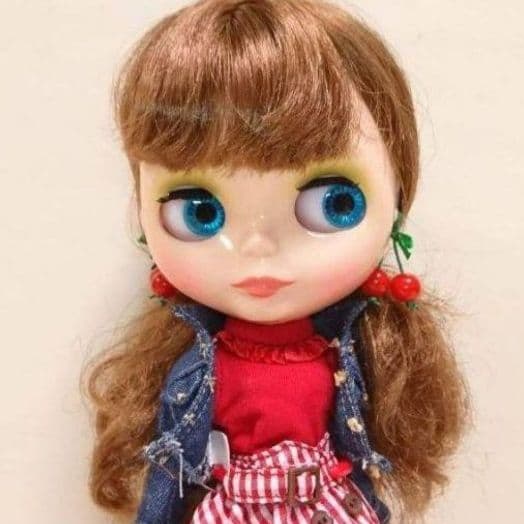 ブライス ネオブライス カスタムブライス ドール