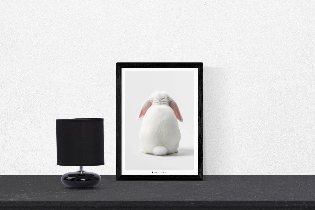 【約84cm】SIMRIDE アートポスター（超大型A1サイズ）ホワイトロップ