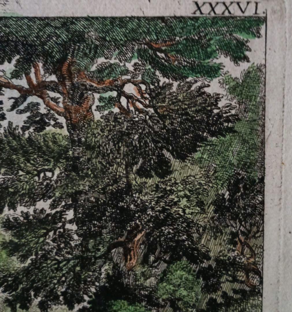 お値下げ　古典版画　1685年　FALDA 「Villa Frescada」