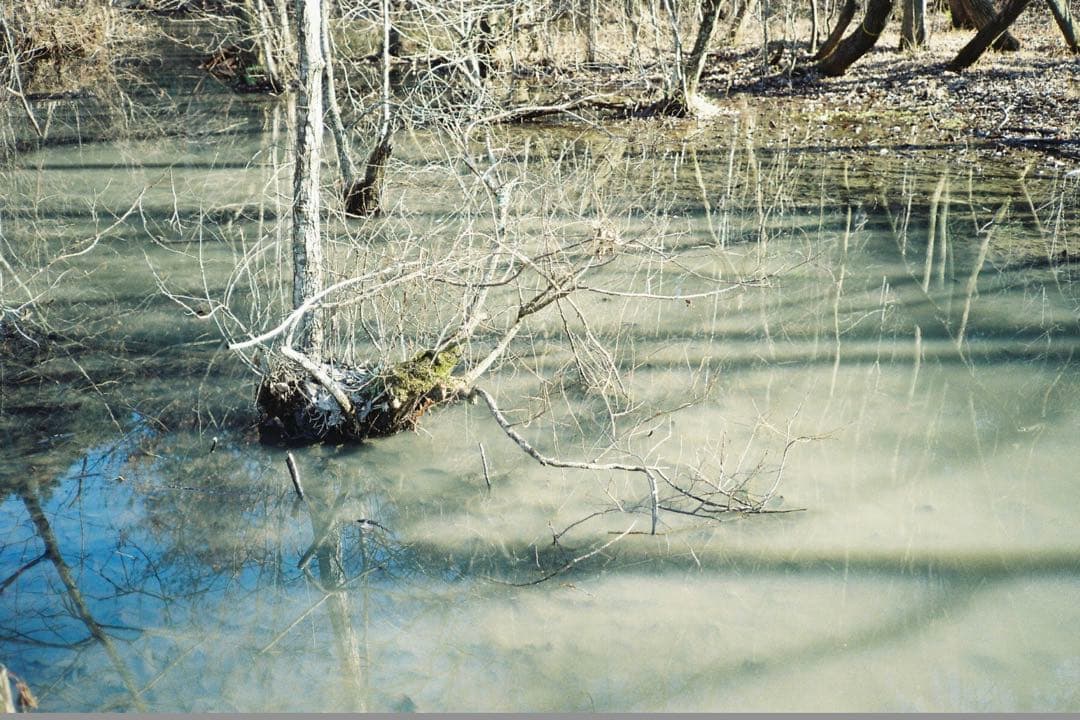 【撮影済み】PENTAX ESPIO 160 コンパクトフィルムカメラ