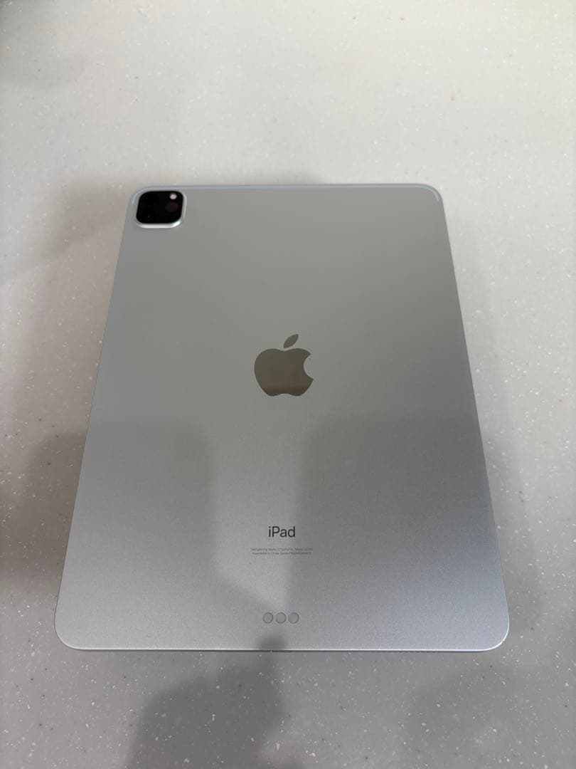 Apple iPad Pro 11 第2世代　Wi-Fi 256G