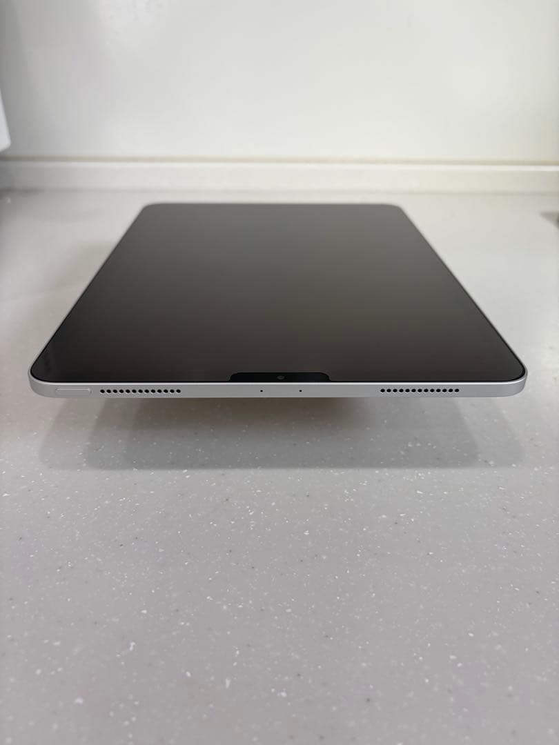 Apple iPad Pro 11 第2世代　Wi-Fi 256G