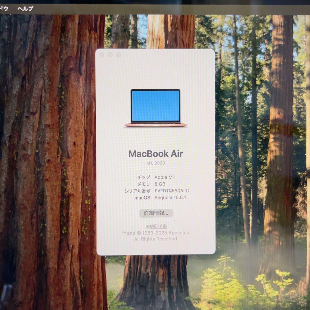 MacBook Air 13 2020 本体 256GB 8GB 462A