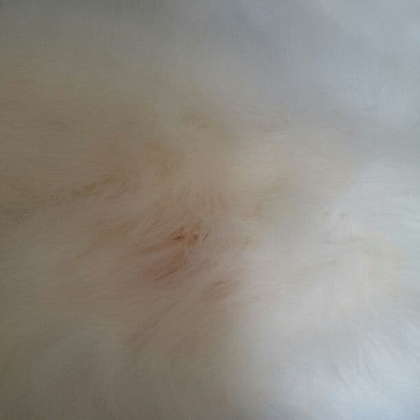 成人式着物セット