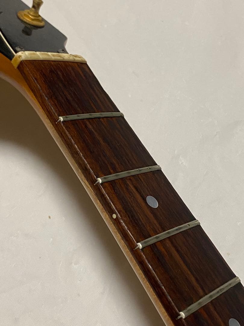 MGT-48 TARGET by FERNANDES 現状渡しジャンク hide