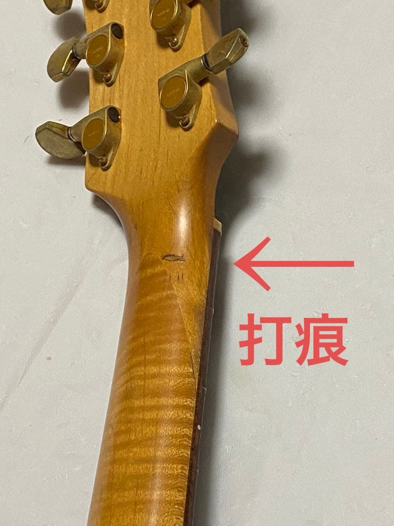 MGT-48 TARGET by FERNANDES 現状渡しジャンク hide