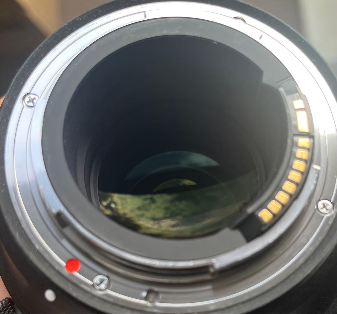 SIGMA 70-200mm F2.8 DG OS HSM EFマウント