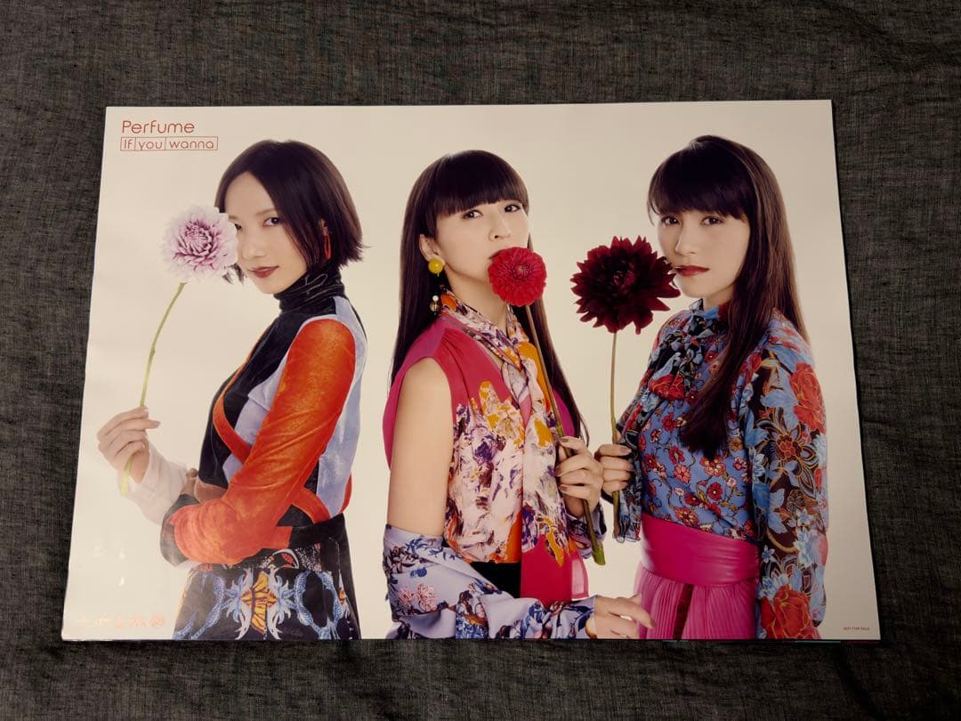 Perfume ポスター 22枚セット