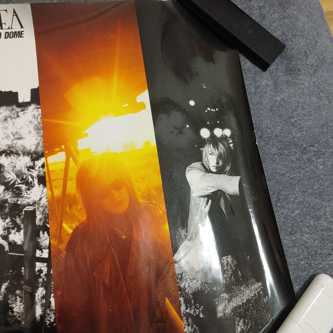 LUNA SEA1995東京ドーム公演LUNATIC TOKYO会場限定ポスター