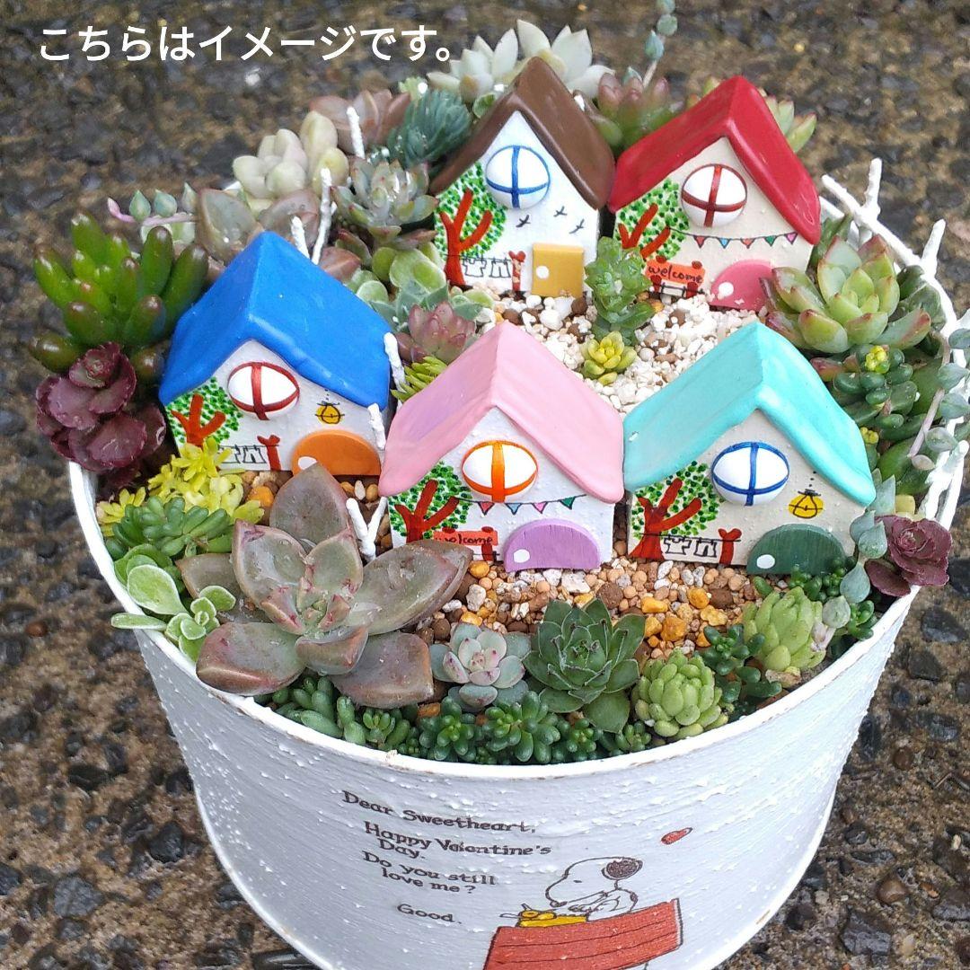 おうちのガーデンピックオーダー専用