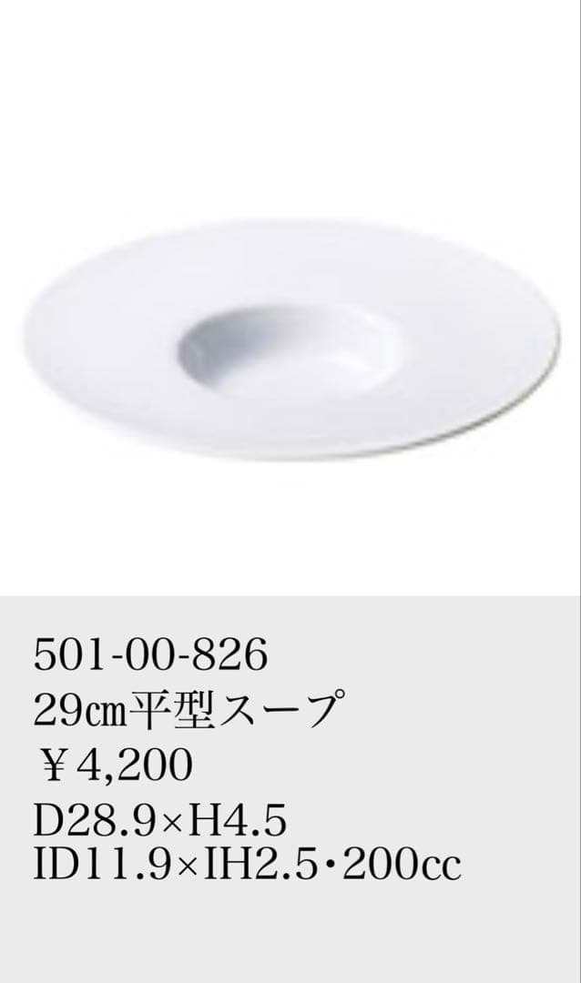 KANESUZU製ワイドリム皿29cm5枚セット