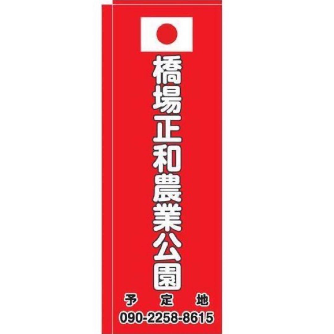 陶磁器【有田焼　昭峰窯　菊模様　4客】