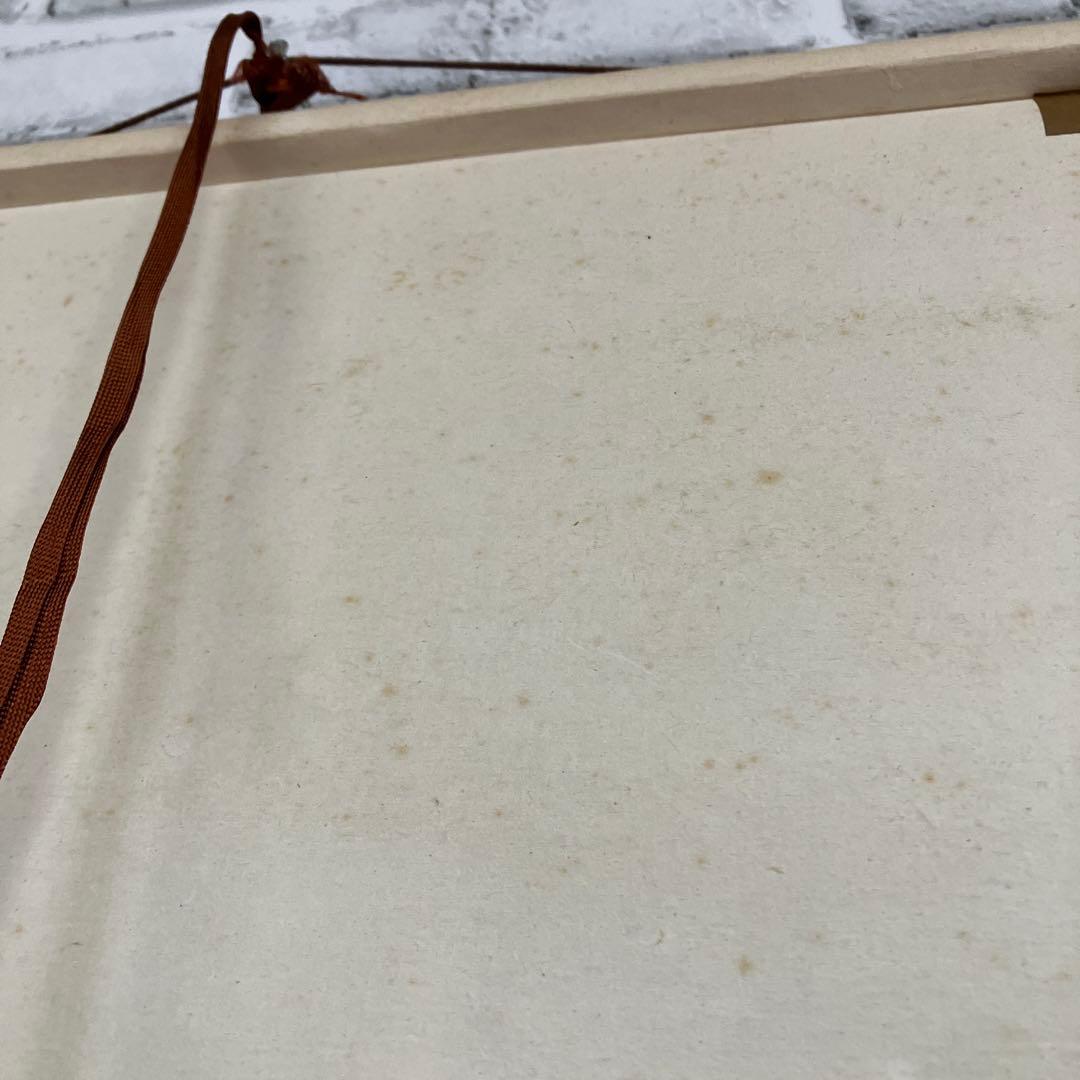 掛け軸 掛軸 日本画 水墨画 墨梅 白梅 梅 花鳥画 骨董 古美術 アンティーク