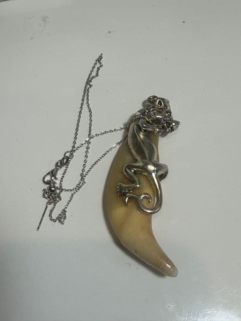 熊牙　熊の牙　熊歯　ネックレス　キーホルダー　新作　送料無料