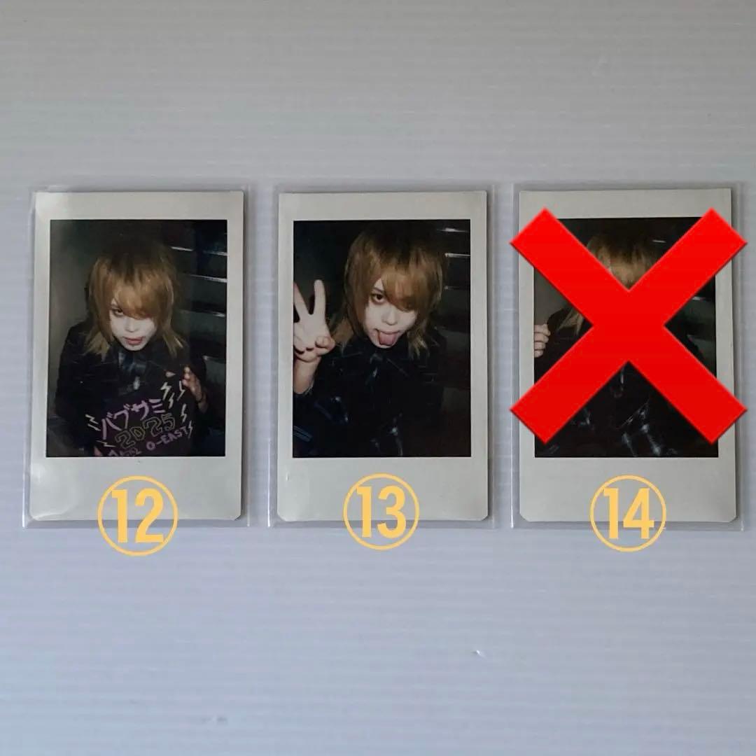 アルルカン 奈緒 チェキ 13枚 (バラ売り可)