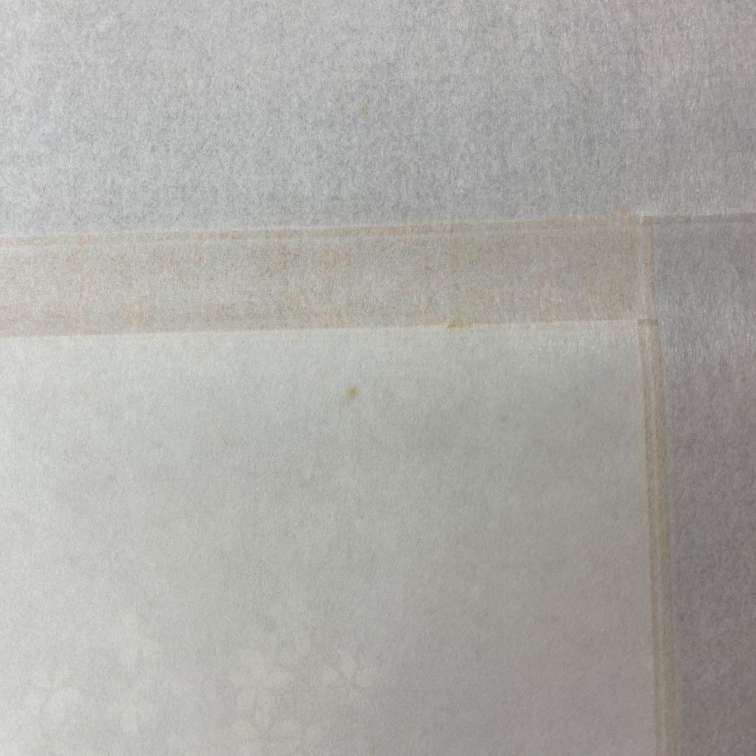 美品 掛け軸 中川幸彦作「桜」縁起物 共箱 美術年鑑掲載 太巻き付