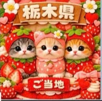 ご確認用　ラヴィ　ねこちゃん柄ハンカチ　ハンドメイド1/31