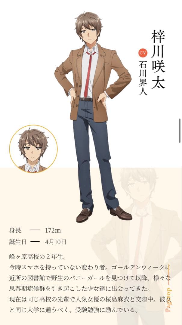 docobuy 青春ブタ野郎はおでかけシスターの夢を見ない 直筆　サイン　色紙