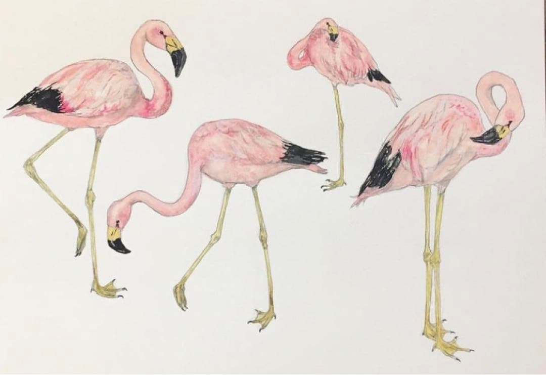 希少 美品 完売 WREAZOO リーズー エプロン ワンピース フラミンゴ