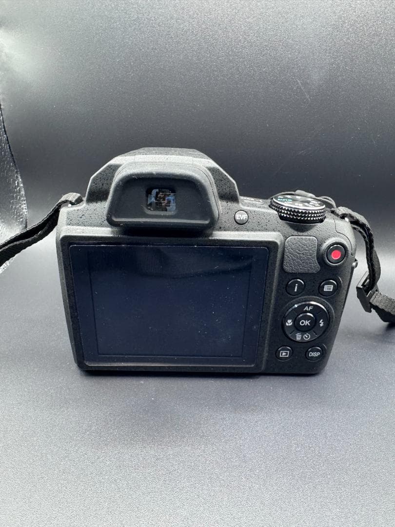 【動作確認済】RICOH PENTAX XG-1 高倍率ズーム デジタルカメラ