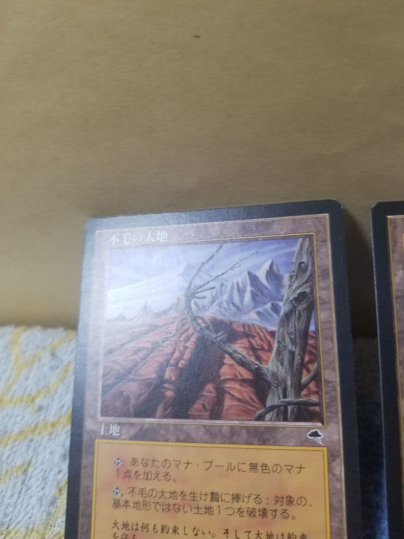 プ*メ様 匿名受取】不毛の大地 Wasteland 2枚