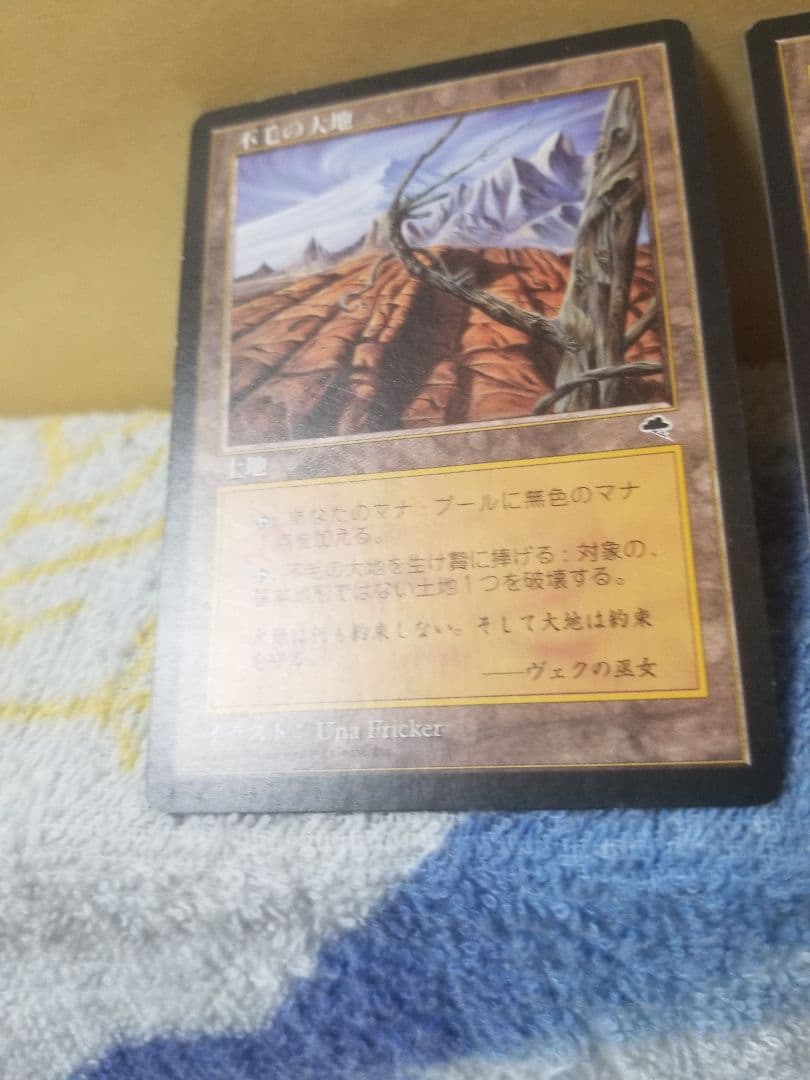 プ*メ様 匿名受取】不毛の大地 Wasteland 2枚