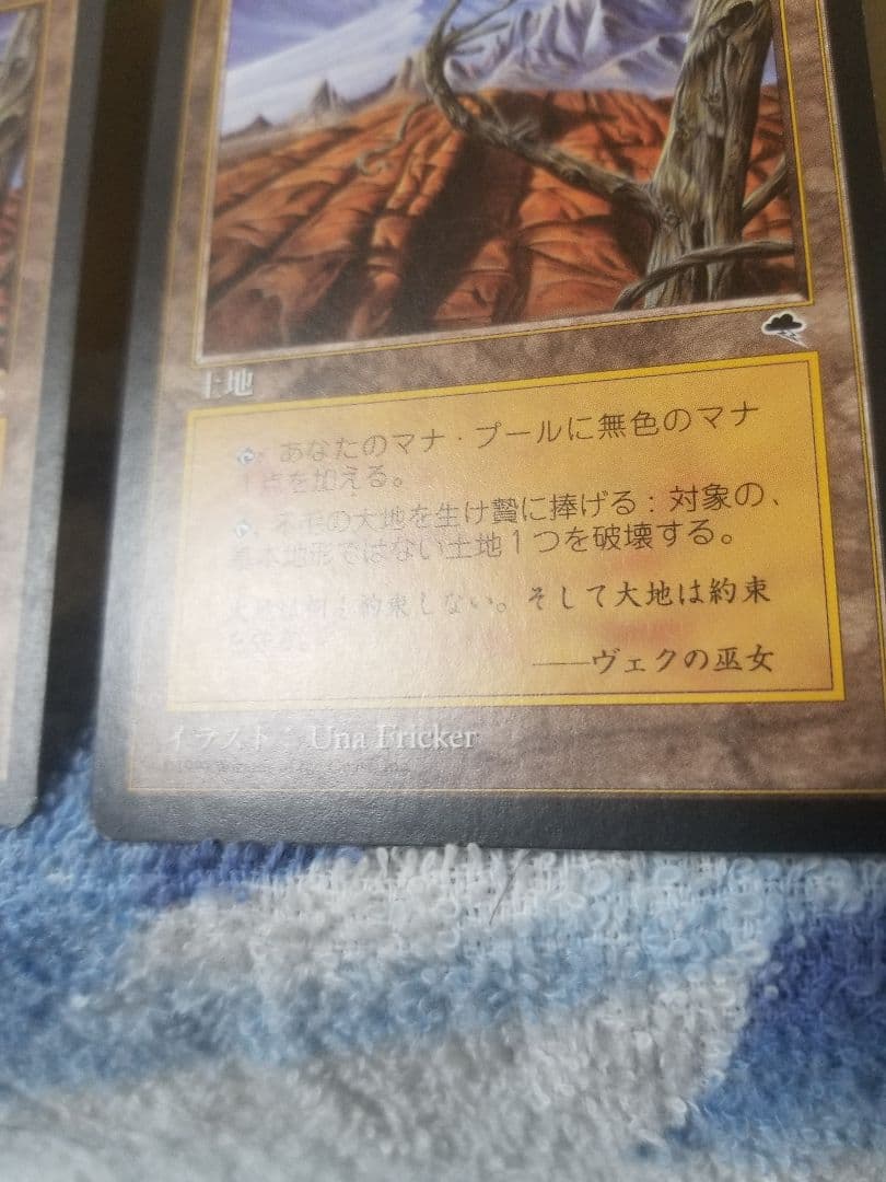 プ*メ様 匿名受取】不毛の大地 Wasteland 2枚