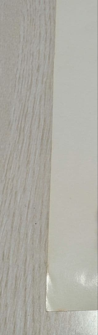 非売品　機動戦艦ナデシコ　シートベルト啓発B3ポスター　ホシノルリ