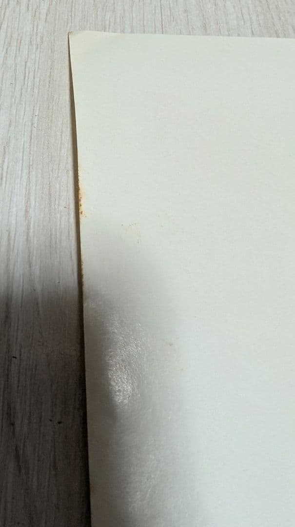 非売品　機動戦艦ナデシコ　シートベルト啓発B3ポスター　ホシノルリ