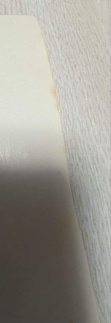 非売品　機動戦艦ナデシコ　シートベルト啓発B3ポスター　ホシノルリ