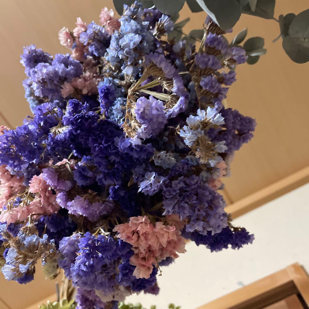 スターチス スワッグ　ドライフラワー