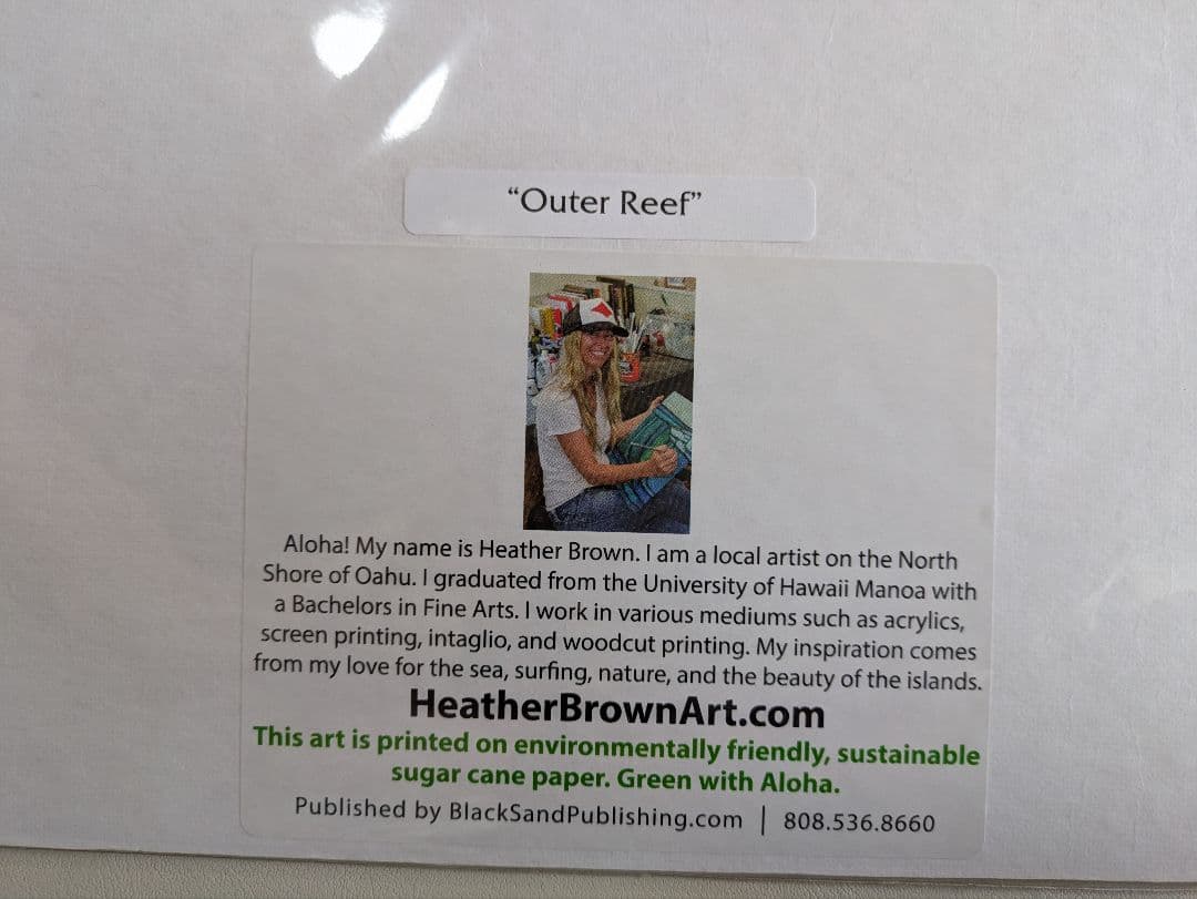 ヘザーブラウン　Heather　Brown【Outre Reef】