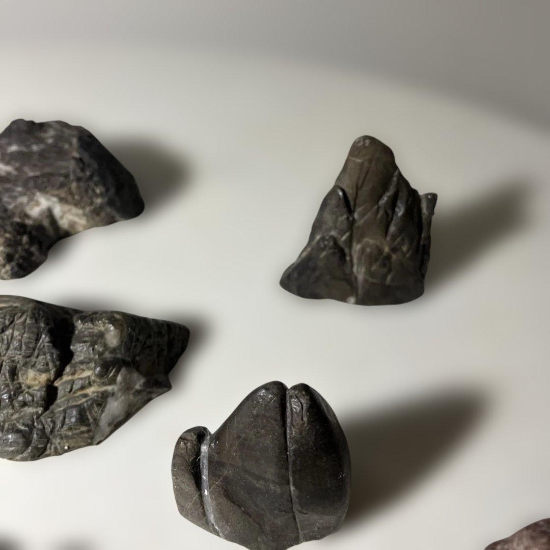 盆石　用水石セット