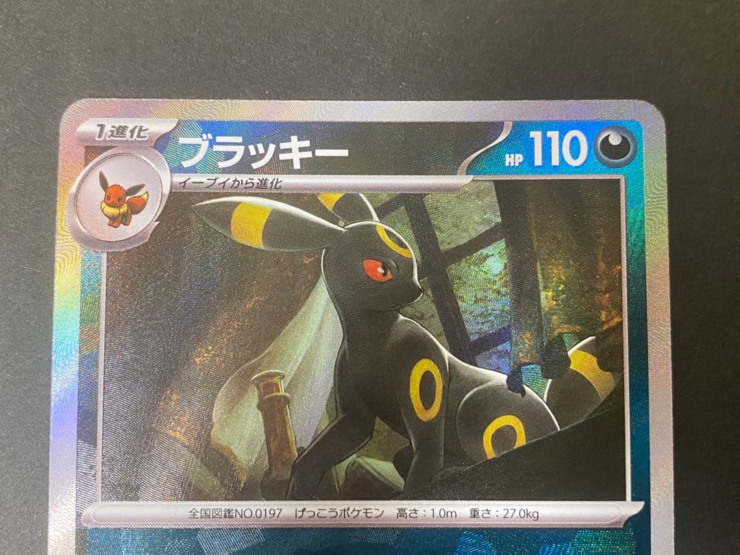 ブラッキー　マスターボールミラー　テラスタルフェス